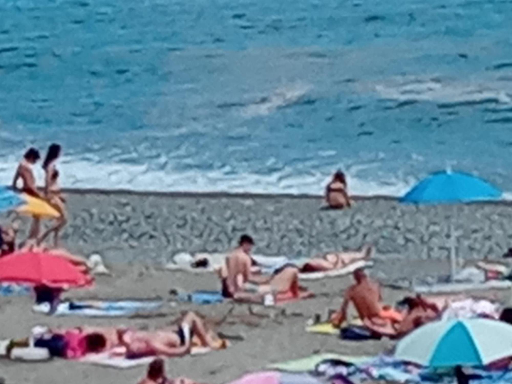 Casa Al Mare Pietro Apartment Varazze Luaran gambar